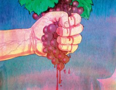 Natural Wines are Here to Stay