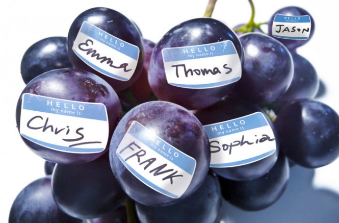 What Does it Mean When the Same Grape has Different Names?