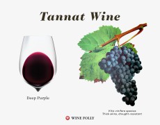 Why You Want To Drink More Tannat Wine