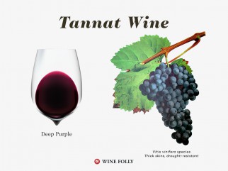 Why You Want To Drink More Tannat Wine