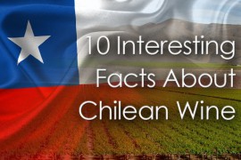 10 Điều thú vị về rượu vang Chile.