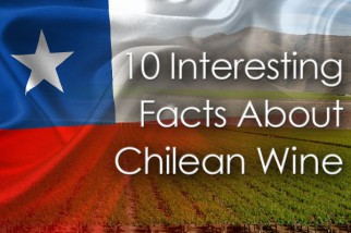 10 Điều thú vị về rượu vang Chile.