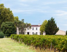 Why Côtes de Bordeaux Should be Your Go-To French Wine
