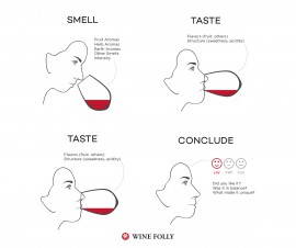 Learn How to Taste Wine and Develop Your Palate