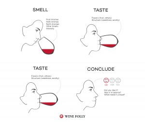 Learn How to Taste Wine and Develop Your Palate