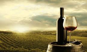 Tại sao Côtes de Bordeaux nên được xem là sức sống của Rượu vang Pháp?