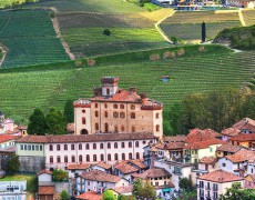 BAROLO - HƯỚNG DẪN VỀ RƯỢU VANG BAROLO