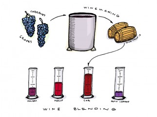 Pha trộn rượu vang – Ý nghĩa của việc pha trộn những giống nho