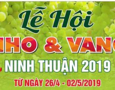 Ninh Thuận chào đón 120.000 du khách trong Lễ hội nho và rượu vang