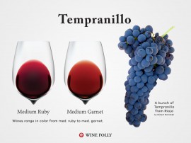 Hướng dẫn về Rượu vang Tempranillo