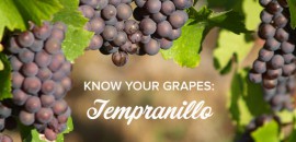 Tempranillo - Át chủ bài của rượu vang Tây Ban Nha