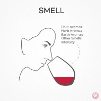 Smell