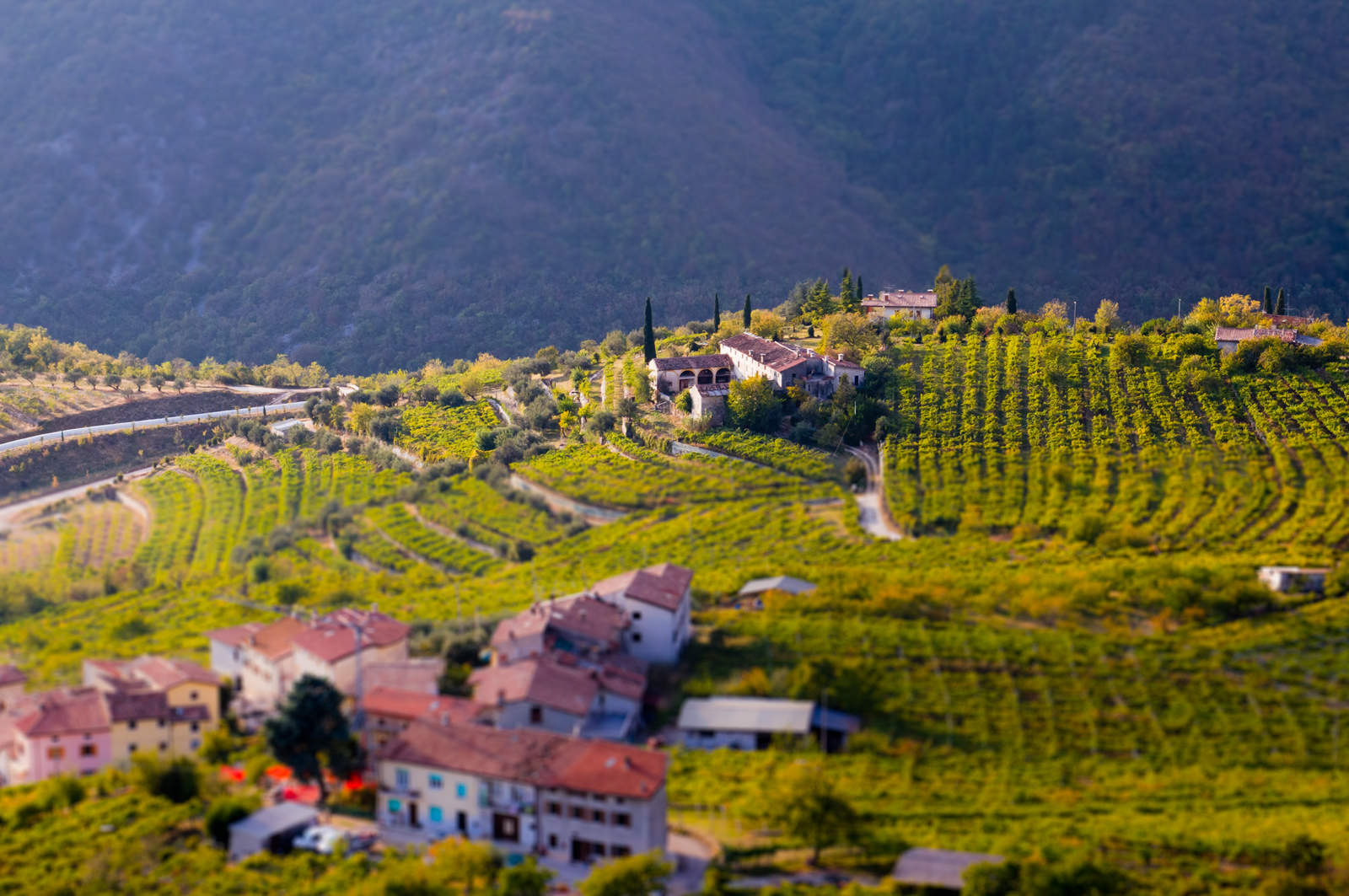 ruou-vang-valpolicella-amarone