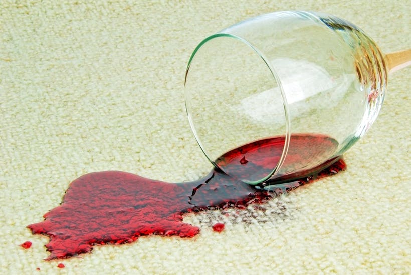 Bạn sẽ làm gì nếu làm đổ rượu vang đỏ trên ghế sofa?